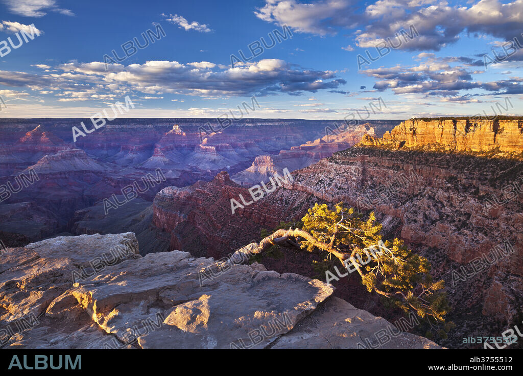 Pipe Creek Vista Point Overlook, South Rim, Grand Canyon National Park, UNESCO World Heritage Site, Arizona, United States of America, North America.