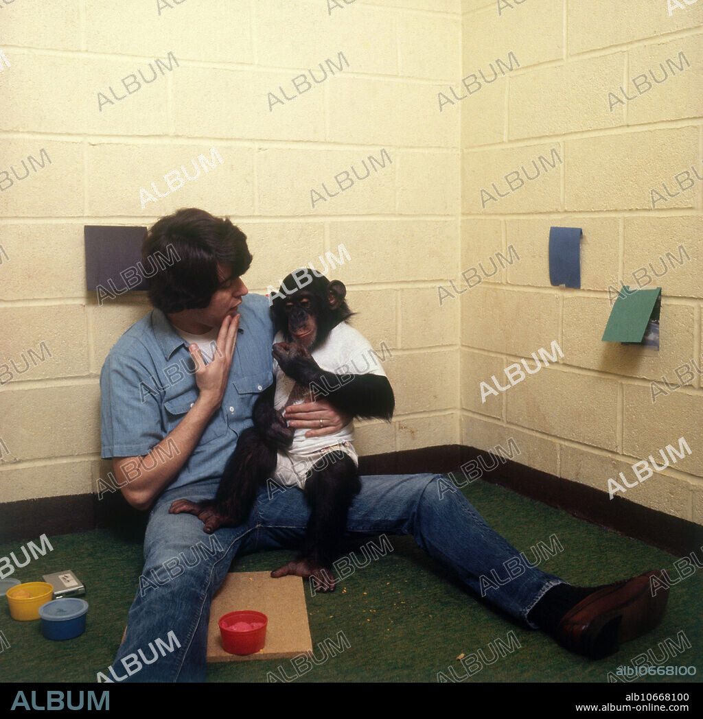 Editorial use only . Nim Chimpsky with a student trainer practicing sign language. Project Nim was an extended study of animal language acquisition (codenamed 6.001) at Columbia University, led by Herbert S. Terrace; the linguistic analysis was led by the psycholinguist Thomas Bever. Chimpsky was given his name as a pun on Noam Chomsky, a leading theorist on human language structure and generative grammar, who holds that humans are wired to develop language.