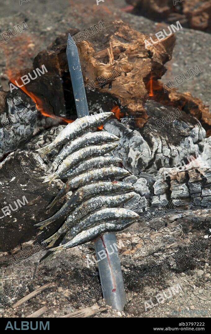 Skewers or Espeto of sardines, Torre del Mar beach, Malaga province, Andalusia, Spain, Europe.