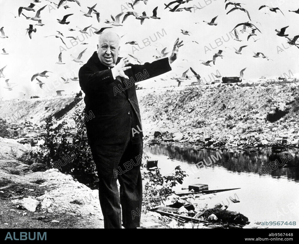 ALFRED HITCHCOCK en LOS PÁJAROS, 1963 (THE BIRDS), dirigida por ALFRED HITCHCOCK. Copyright Alfred J. Hitchcock Productions.