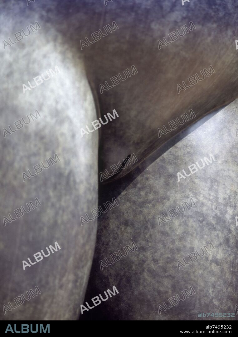 FERNANDO BOTERO. DETALLE DEL PUBIS - EVA - SIGLO XX.