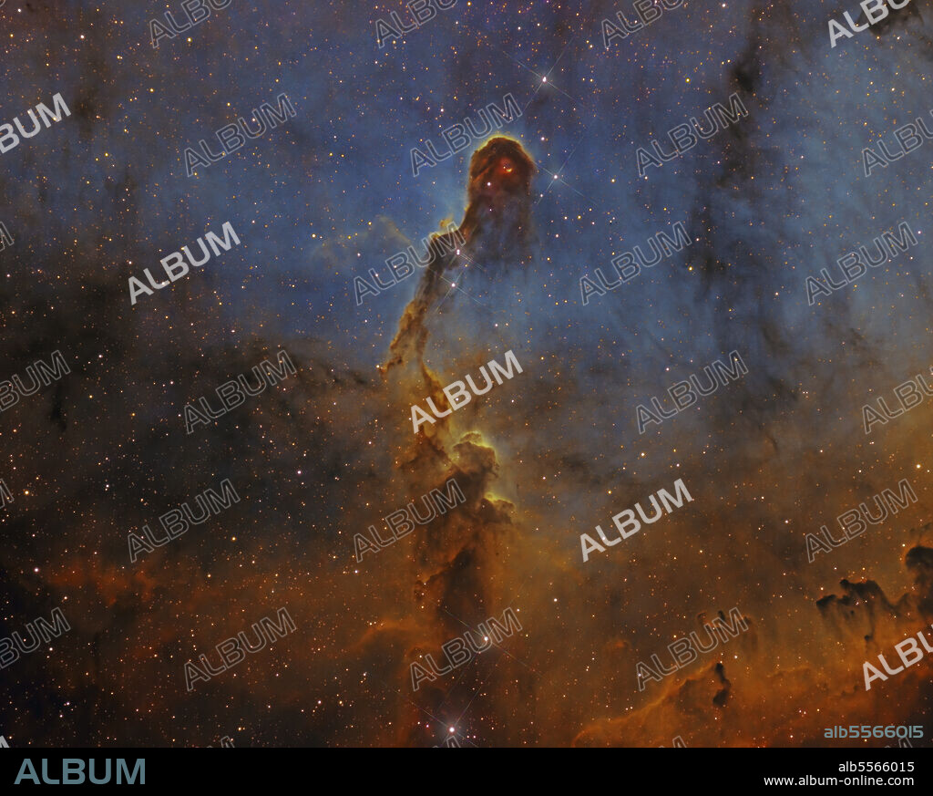 Detailed view of IC 1396, the Elephant Trunk Nebula.