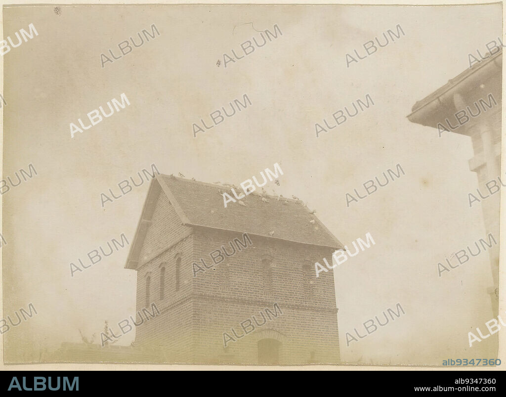 Doves on the roof of a building in France, Part of Photo album of a French amateur photographer with shots of a family, distillery Delizy & Doistau Fils, the army and places of interest in France., anonymous, France, c. 1900 - c. 1910, paper, albumen print, height 114 mm × width 159 mm.