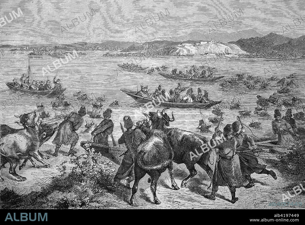 Circassians and Baschi Bozuks bring looted cattle across the Danube on the Turkish Bank in Romania. Circassians or Circassian also are a Caucasian people, Sothy Bozuk Baschi-Bosuks, irregular troops of the Ottoman empires were, Reproduction of an original woodcut from the year 1882, digital improved.