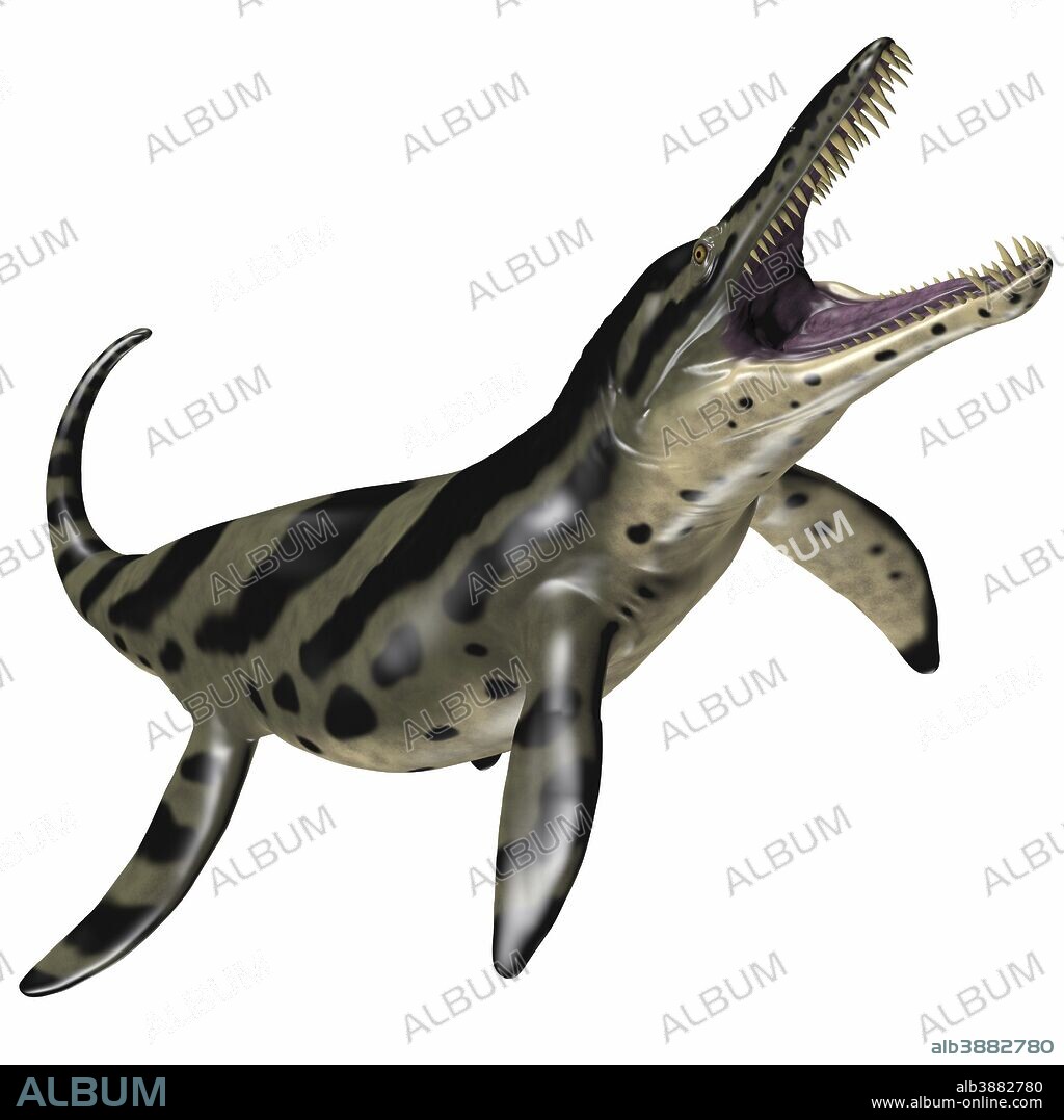 Kronosaurus was a marine reptile and one of the largest short-necked pliosaur of Cretaceous Seas.