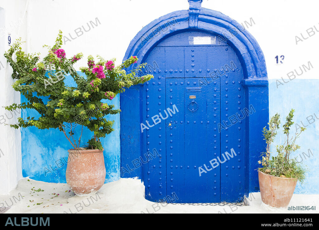 Pots and plants against blue and white wall in Kasbah des Oudaya (Kasbah of the Udayas), Rabat, Morocco, North Africa, Africa.