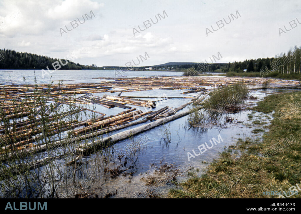 ARKIV 1975. Timmer i Kalixälven. Timmermagasin.. Foto: Peo Isander / SVT Bild / Kod: 5600. Sthlm nyheter Ö.