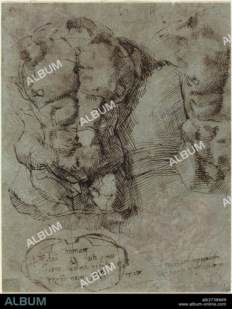 ITALIAN 16TH CENTURY. Studies of a Male Torso. Dated: c. 1524. Dimensions: overall: 25.7 x 20.3 cm (10 1/8 x 8 in.). Medium: pen and brown ink on gray-blue paper.