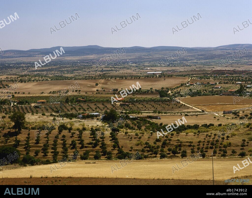 EXTREMADURA. Vista de un paisaje de la COMARCA DE LA SERENA, en los alrededores de Castuera. Se trata de una planicie esteparia, con una acusada deforestación sólo salvada por algunas parcelas de bosque mediterráneo. Provincia de Badajoz. España.