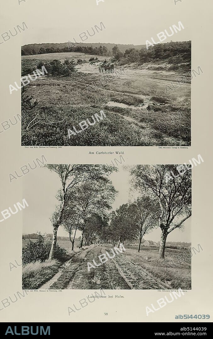Otto Meissners Verlag, Wilhelm Dreesen, Am Garlstorfer Wald and country road near Holm. Plate 58 from the portfolio Wanderungen durch Heide und Moor zwischen Elbe, Jeetze, Aller und Weser, Staatliche Landesbildstelle Hamburg, collection on the history of photography, paper, collotype, sheet size: height: 43.70 cm; width: 31.00 cm, stamp: verso and stamp of the Staatliche Landesbildstelle Hamburg, landscape photography, landscapes (temperate zone), country, region.