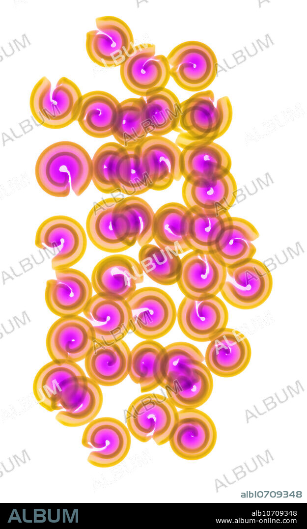 Coloured x-ray of pasta.