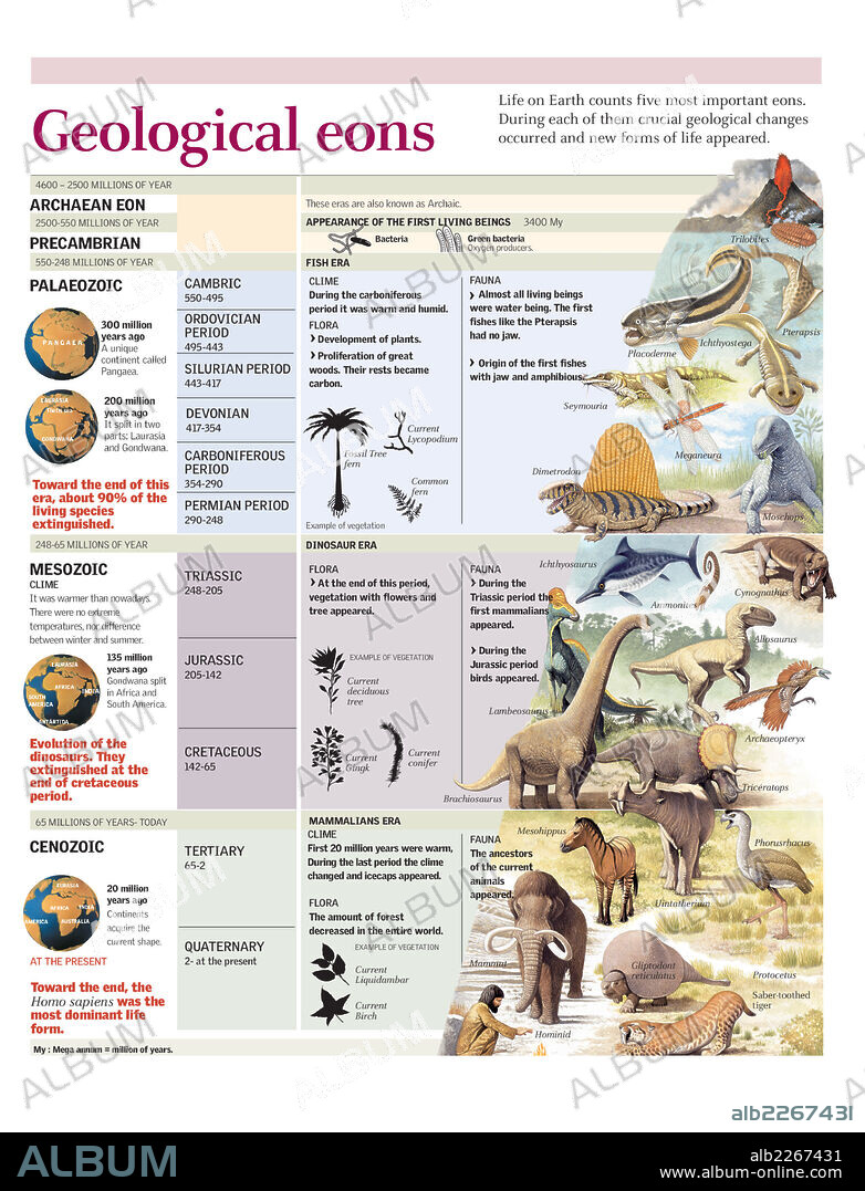eras geológicas. Descripción de las eras geológicas de la Tierra, con el clima, fauna y flora de cada una de ellas.