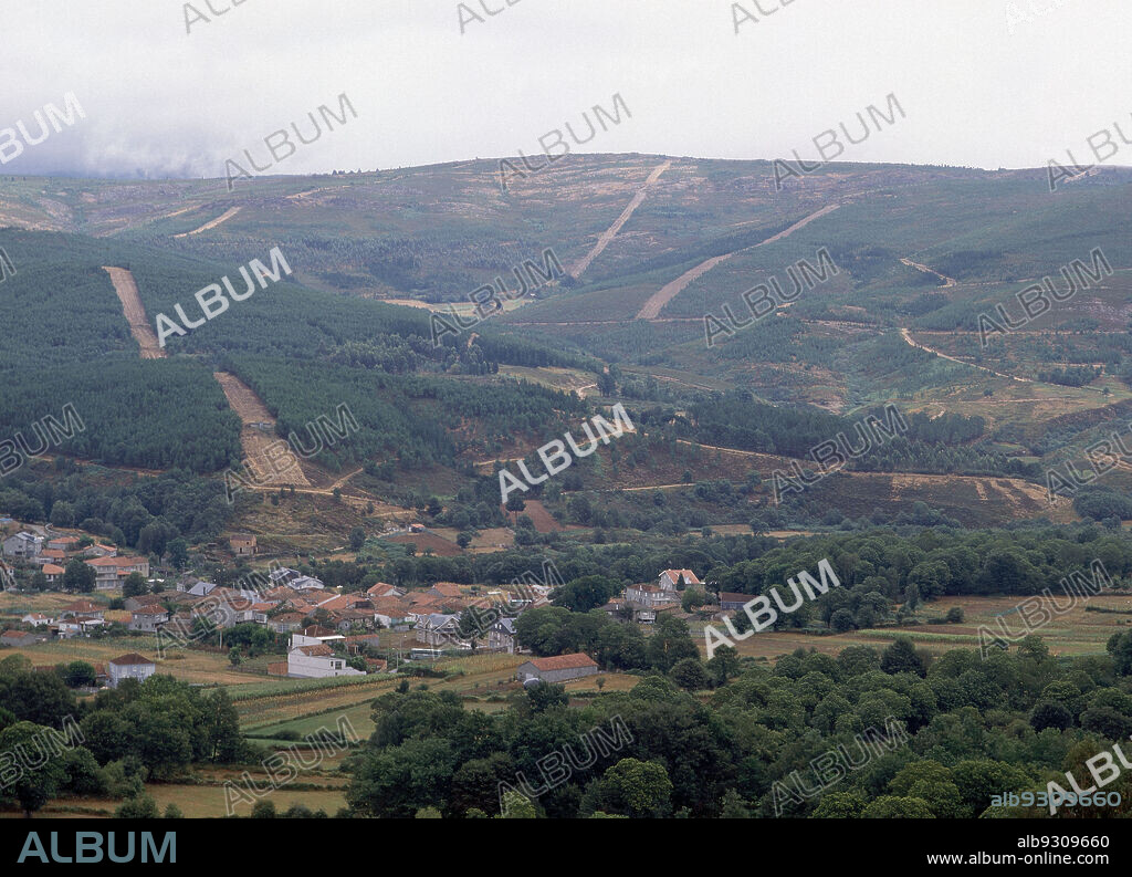 MONTE GALLEGO CON CORTAFUEGOS.