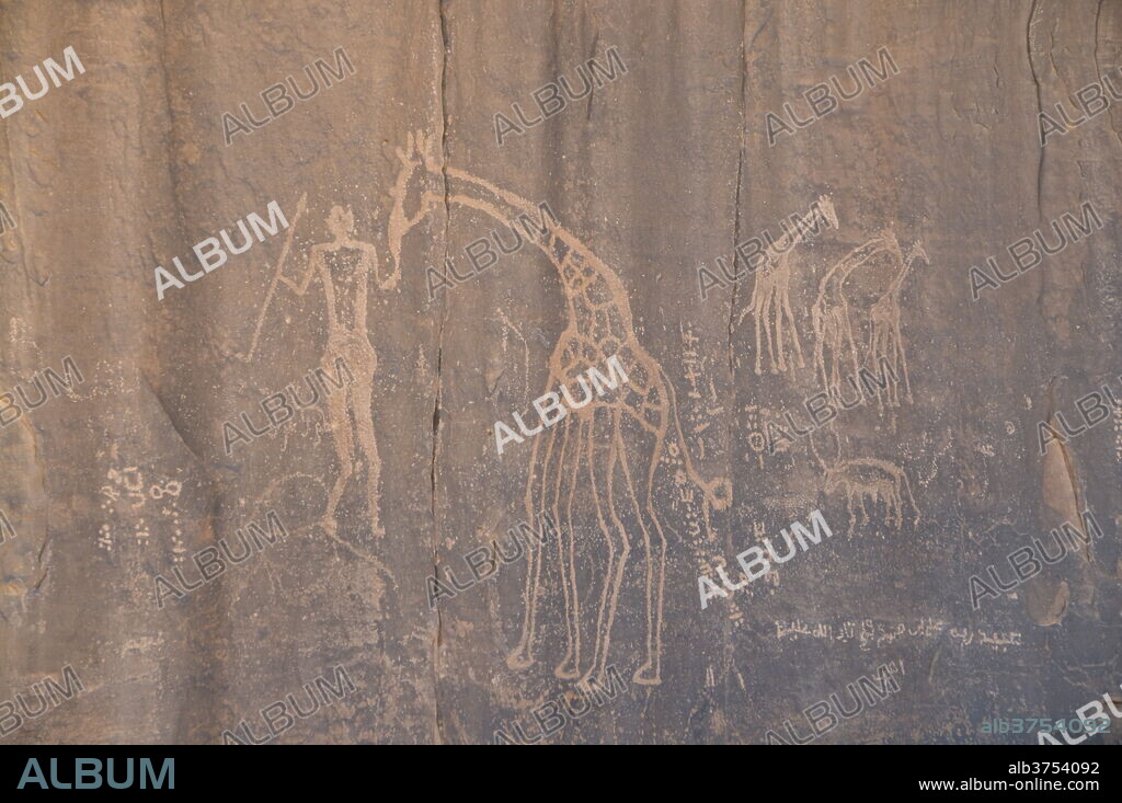 Rock inscription, Tassili n'Ajjer, UNESCO World Heritage Site, Algeria, North Africa, Africa.