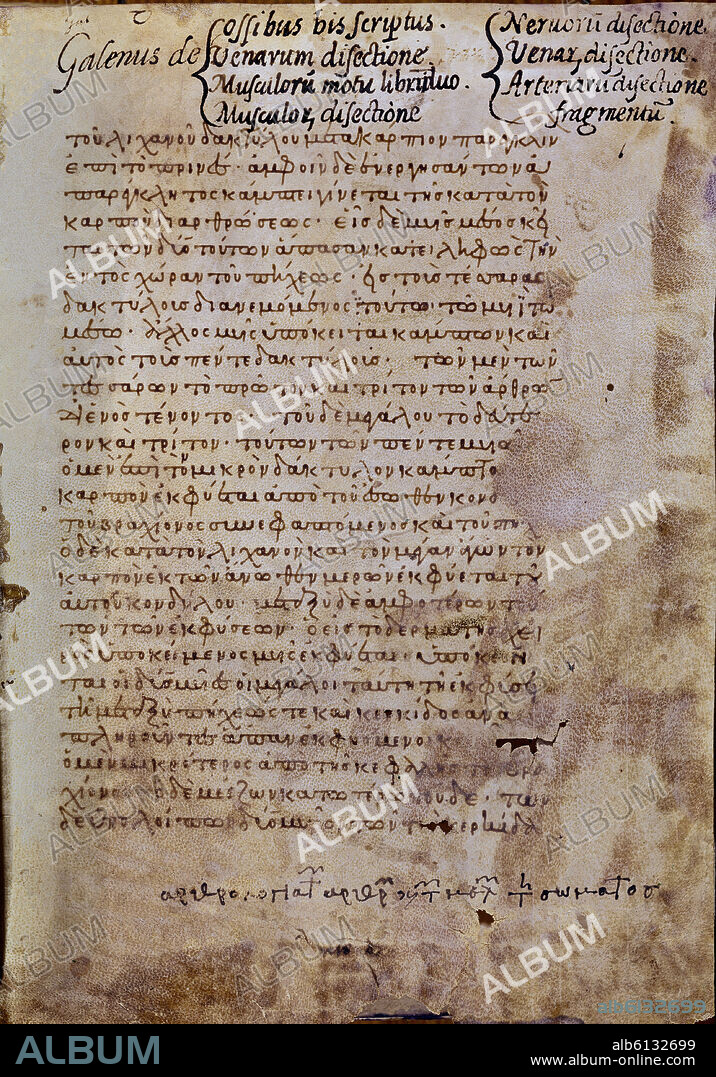 GALENO DE PERGAMO (129-201) GALENUS. DE MUSCULORUM DISECTIONE - CODEX T.III.7. GREEK - FOL 1 R.