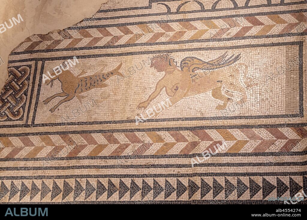 mosaicos romanos, Medinaceli, Soria, comunidad autónoma de Castilla y León, Spain, Europe.