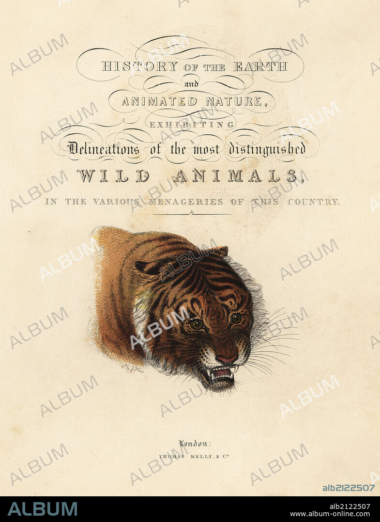 Calligraphic title page with vignette of tiger by J. Webb. Handcoloured copperplate engraving from William Smellies translation of Count Georges Buffons History of the Earth and Animated Nature, Thomas Kelly, London, 1829.