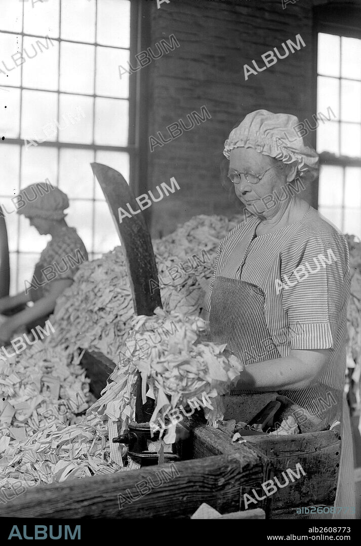 Mt. Holyoke, Massachusetts - Paper. American Writing Paper Co. Rag sorting (Irish), 1936 , Lewis Hine, 1874 - 1940, was an American photographer, who used his camera as a tool for social reform. US,USA.