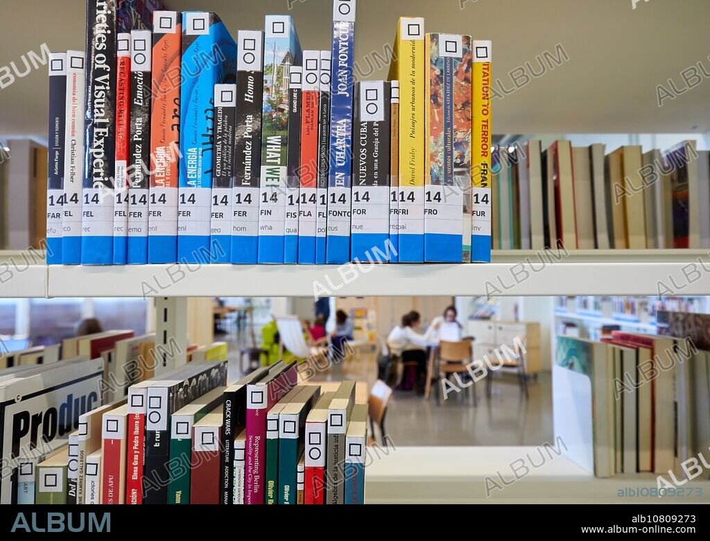 Library, Tabakalera, International Centre for Contemporary Culture, Donostia, San Sebastian, Gipuzkoa, Basque Country, Spain, Europe.