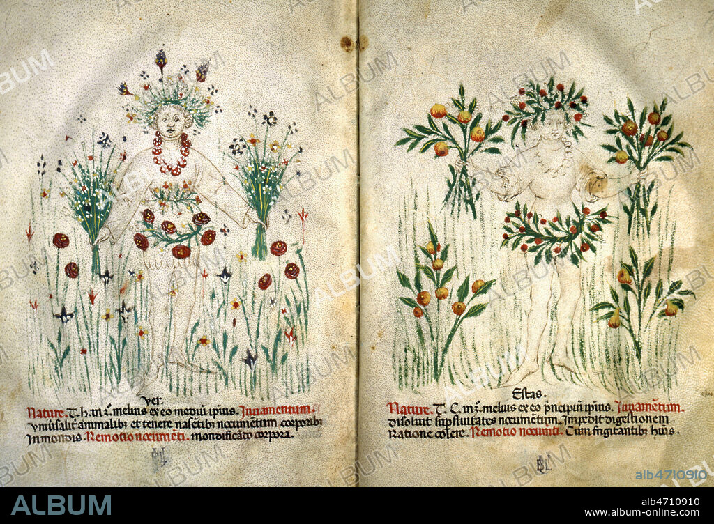 Le printemps et l'ete. Enluminure provenant du Tacuinum Sanitatis, au 15eme s (XVe, 15e s.). Manuscrit medieval conserve a la bibliotheque de l'Univ. de Liege. Credit Collection JEAN VIGNE/KHARBINE TAPABOR.