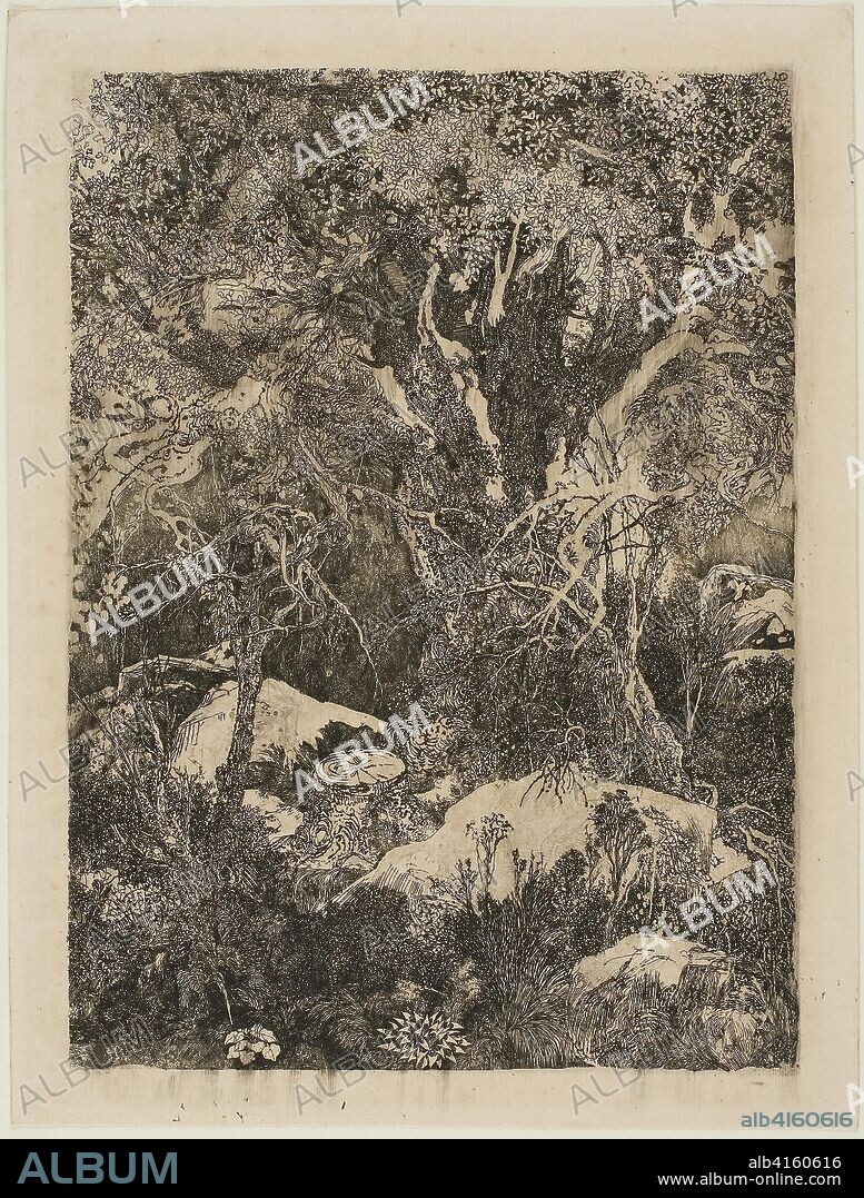 The Forest of Fontainebleau. Rodolphe Bresdin; French, 1825-1885. Date: 1880. Dimensions: 202 × 148 mm (image); 226 × 173 mm (sheet). Etching and drypoint on cream laid paper. Origin: France.