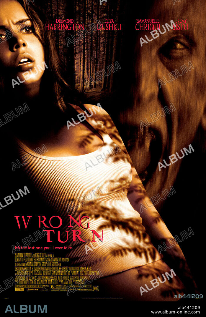 Poster of WRONG TURN, 2003, directed by ROB SCHMIDT. Copyright 20TH CENTURY FOX/REGENCY ENTERPRISES.