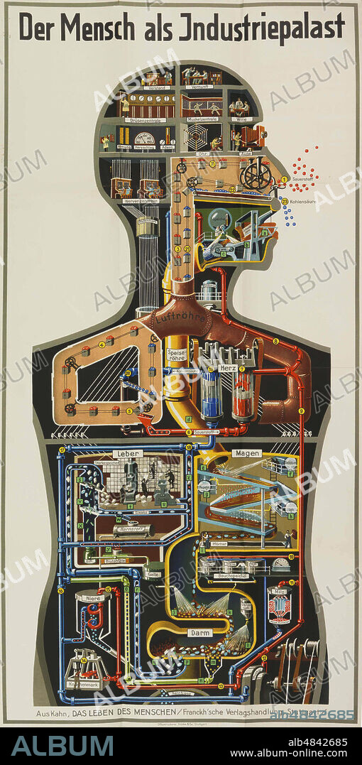 FRITZ KAHN. Der Mensch als Industriepalast (Man as an Industrial Palace). From Das Leben des Menschen (The Life of Man).