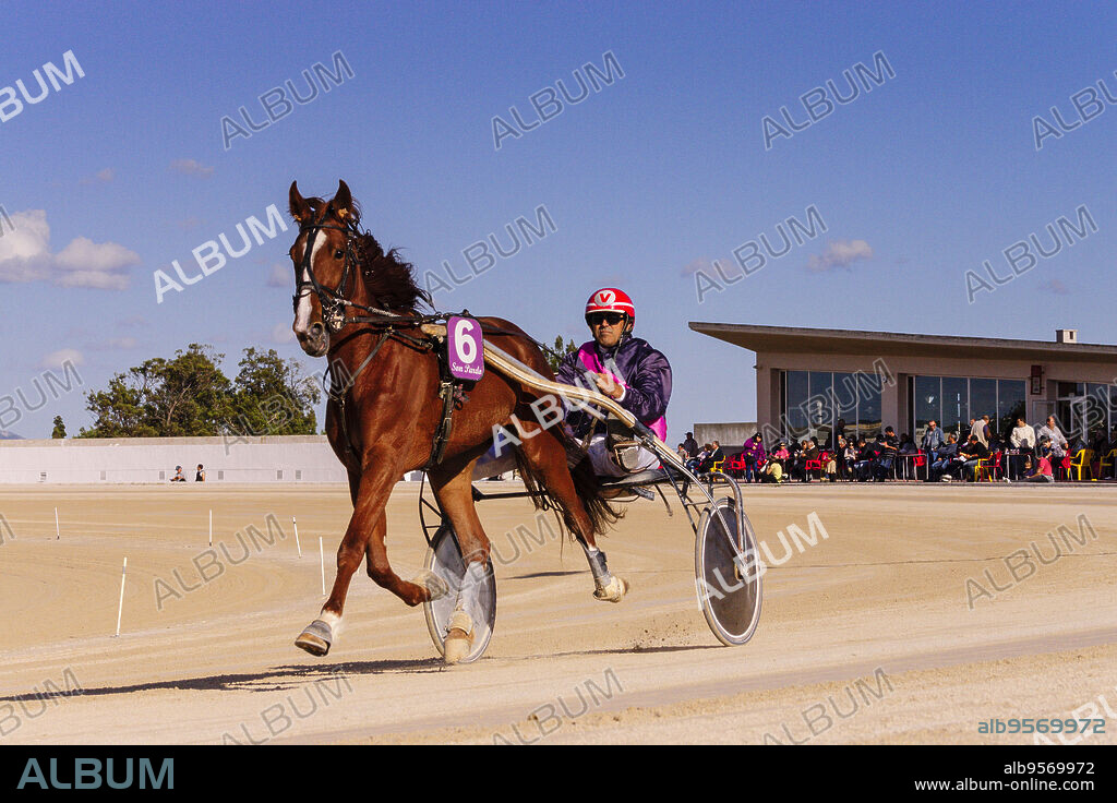 gran premio de hipica, hipodromo de Son Pardo, Palma,mallorca, islas baleares, Spain, europa.