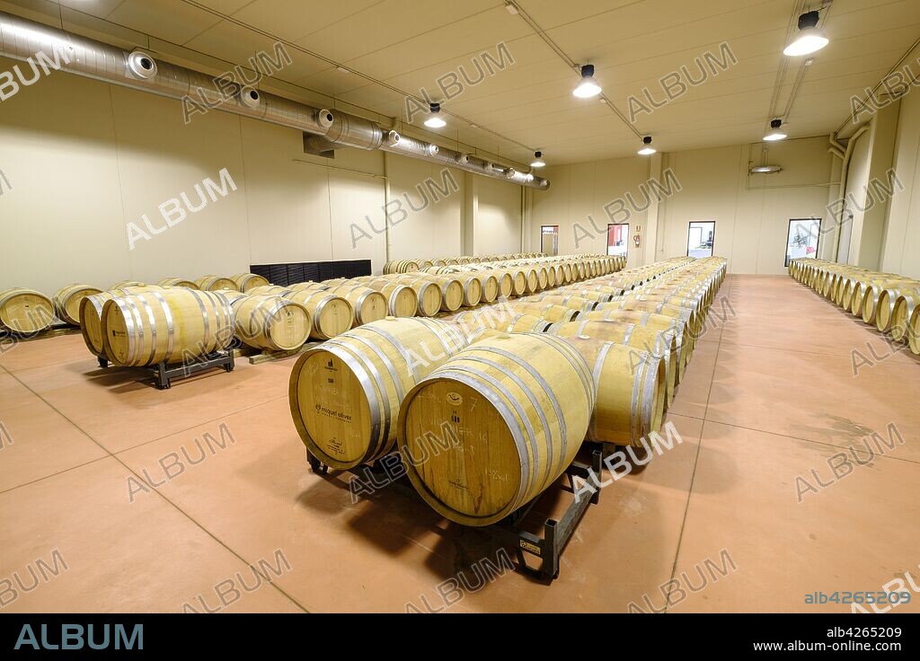 bodegas Miquel Oliver, Petra, Mallorca, balearic islands, spain, europe.