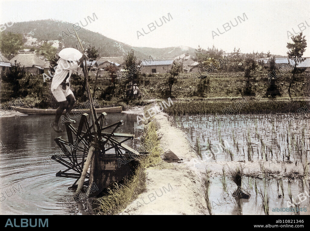 [ 1900s Japan - Japanese Farmer Irrigating a Rice Field ] Rice cultivation in Japan: Irrigating a rice field with a waterwheel operated by stepping on it (ashifumi mizuguruma). This image comes from The Rice in Japan, published in 1907 (Meiji 40) by Kobe based photographer Teijiro Takagi. 4 of 19. 20th century vintage collotype print.