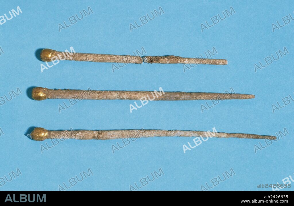 ARTE ROMANO. ESPAÑA. AGUJAS DE HUESO, con cabeza recubierta de oro. 7,8 cm, 7,1 cm, 6,1 cm. Halladas en la Necrópolis de Can Colomer Munmany, Vic (Osona). Siglo II y III d. C. Museu Episcopal del Vic. Provincia de Barcelona. Comarca de Osona. Cataluña.