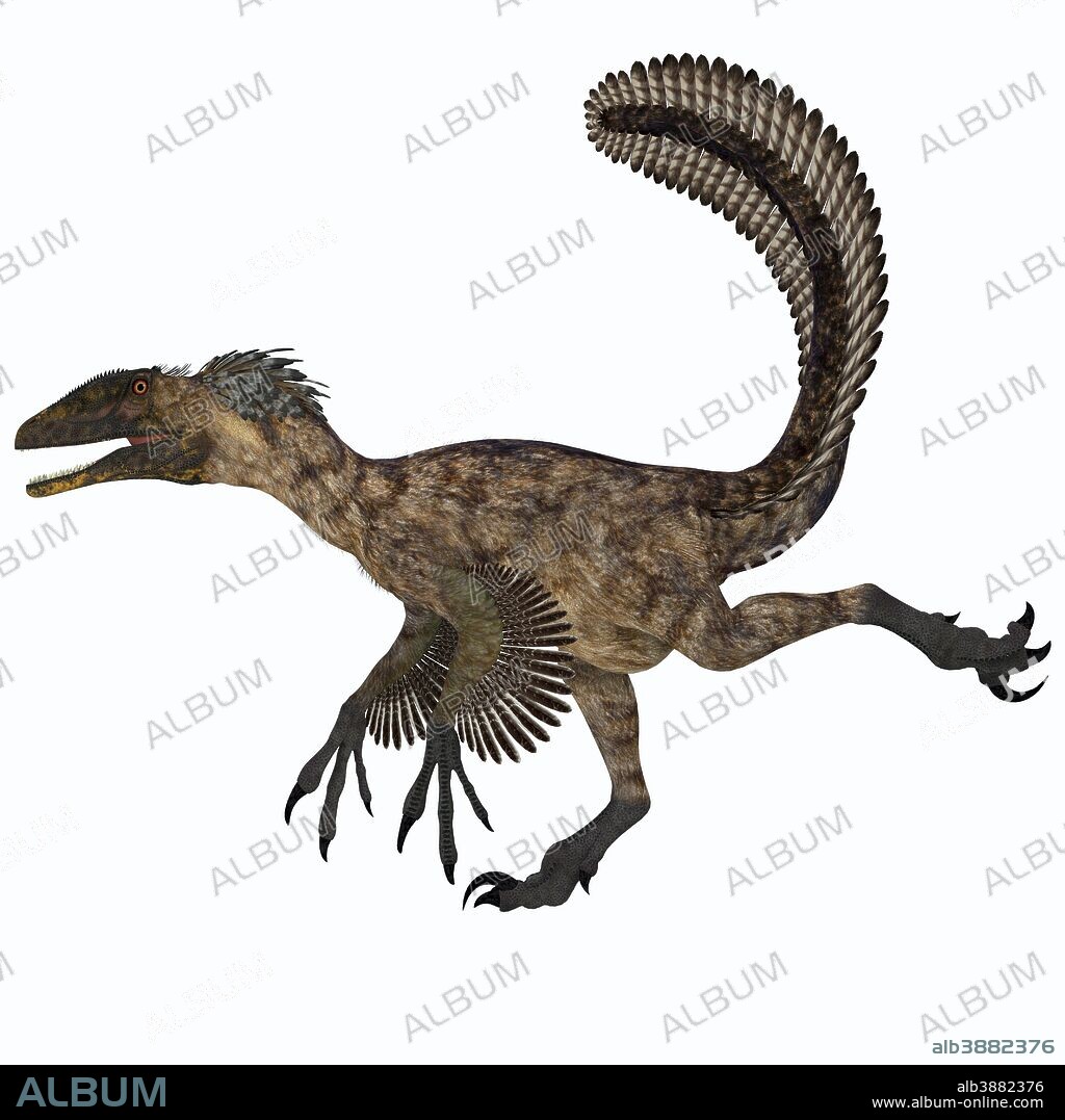 Deinonychus was a carnivorous dinosaur that lived during the Cretaceous period of North America.