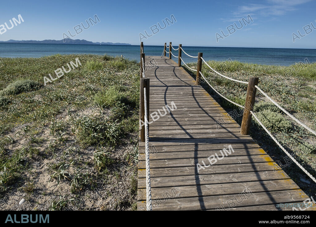 wooden path to protect the dunes, Arenal de sa Canova, Artà - Santa Margalida, Natural Area of Special Interest, Mallorca, Balearic Islands, Spain.