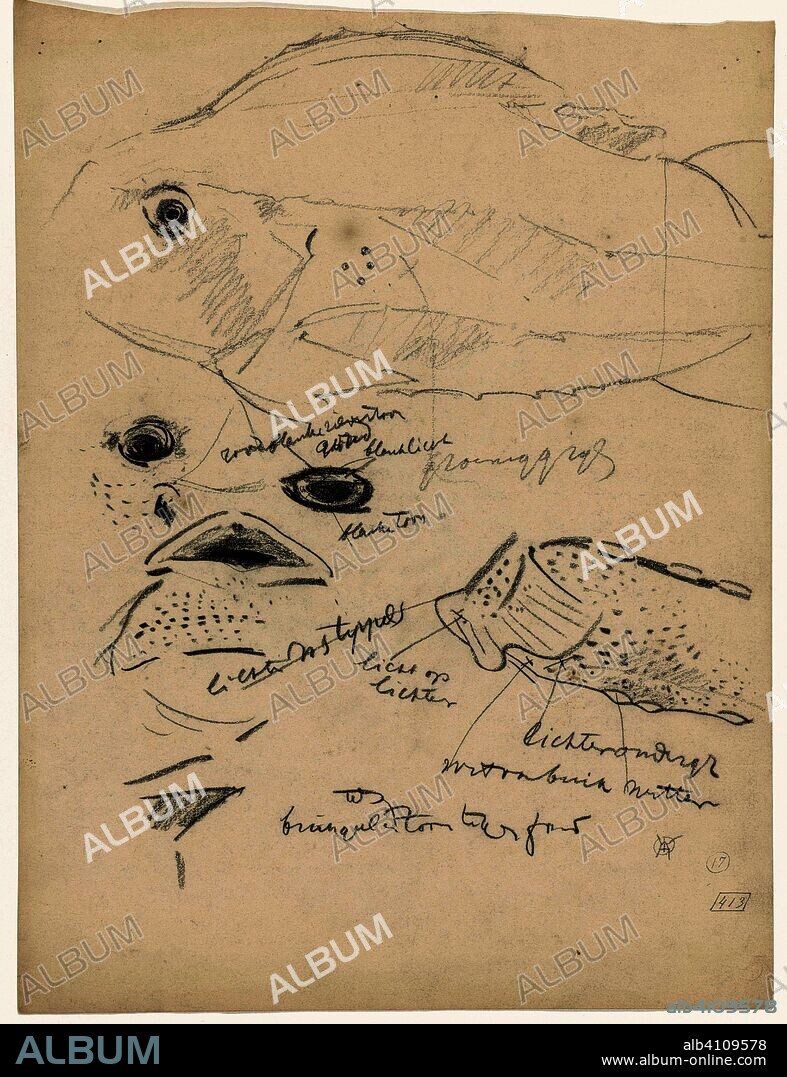Studies of a lump, with color notes. Draughtsman: Gerrit Willem Dijsselhof. Dating: 1876 - 1924. Measurements: h 346 mm × w 261 mm.