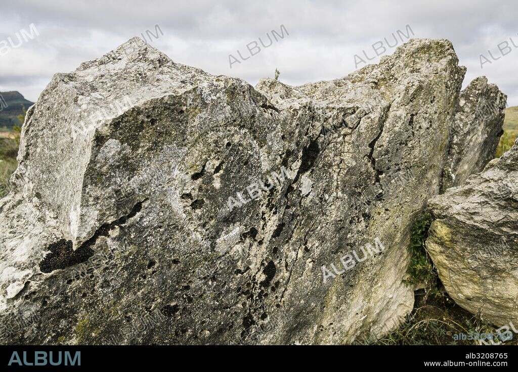 inscripcion circular, Dolmen de la Capilleta,  III milenio antes de Cristo, ruta de los megalitos del alto Aragon,  Paúles de Sarsa, Provincia de Huesca, Comunidad Autónoma de Aragón, cordillera de los Pirineos, Spain, europe.