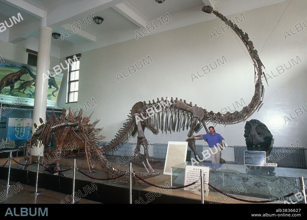 Mamenchisaurus