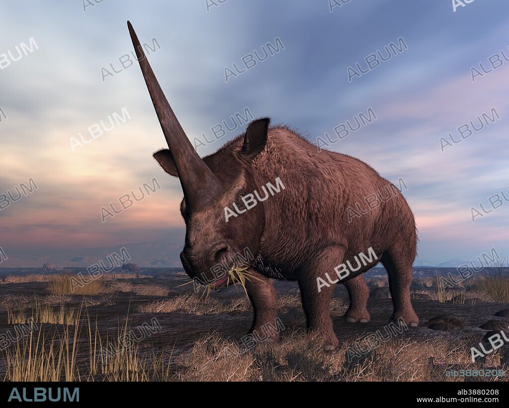 An Elasmotherium grazes on the ancient steppe of what is today Southern Russia. Characterized by a single massive horn (up to 6 feet long), Elasmotherium was a giant herbivorous mammal active in Eurasia about 3 million years ago. Related to modern rhinos, Elasmotherium was more massive, standing about 8 feet tall at the shoulder and up to 26 feet long and weighing over 3 tons. . . Elasmotherium should not be confused with the smaller and extinct woolly rhinoceros which emerged about 2 million years after the appearance of the first Elasmotherium.