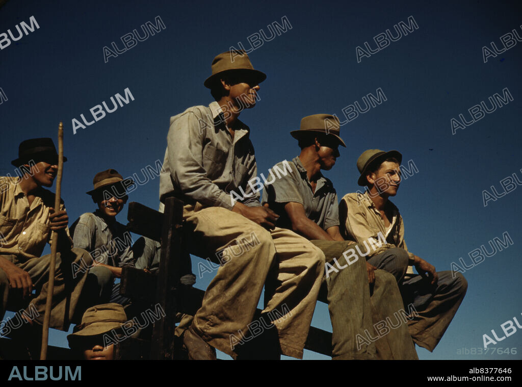 JACK DELANO. Sugar cane workers resting at the noon hour, Rio Piedras, Puerto Rico.