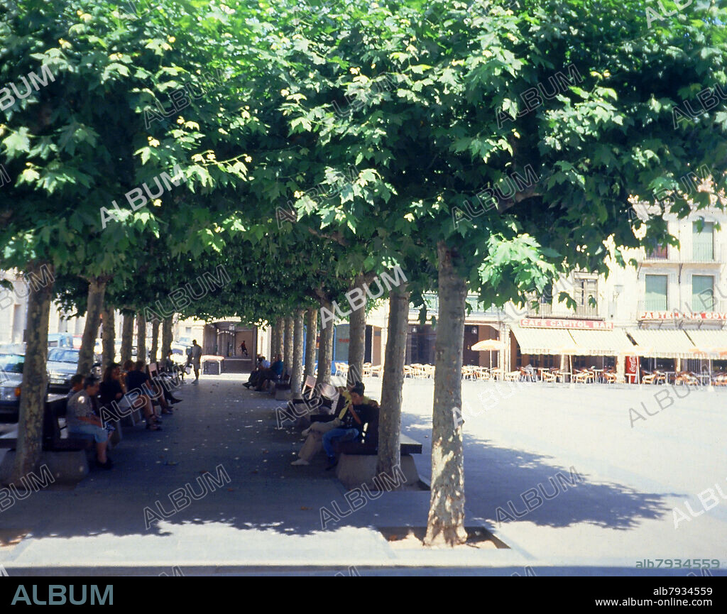 ARBOLEDA DE LA PLAZA MAYOR DE BURGO DE OSMA - FOTO AÑOS 90.