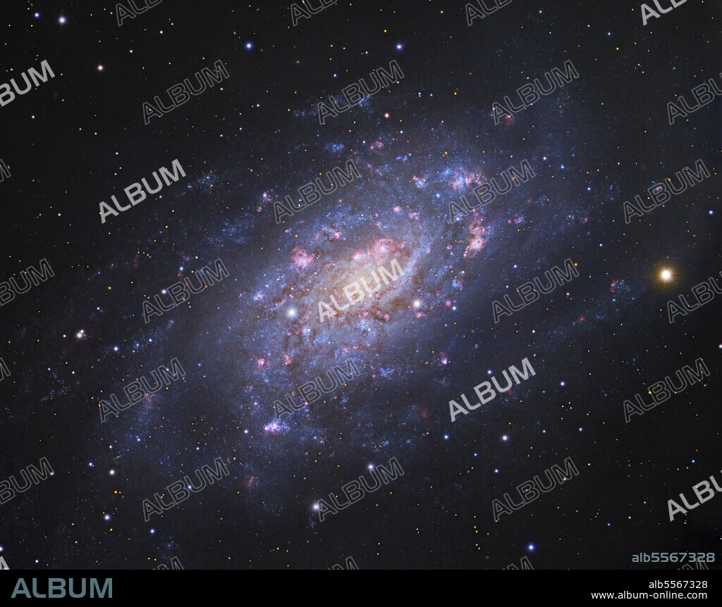 NGC 2403, a spiral galaxy in Camelopardalis.