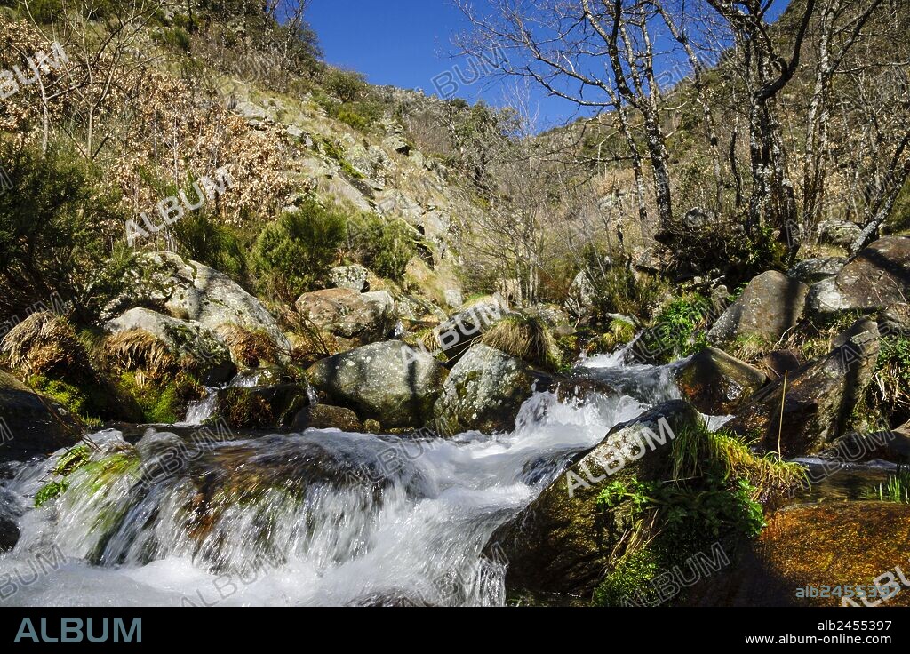 Horco del Rio,nacimiento del rio Jerte, reserva natural Garganta de los Infiernos, sierra de Gredos, valle del Jerte, Cáceres, Extremadura, Spain, europa.