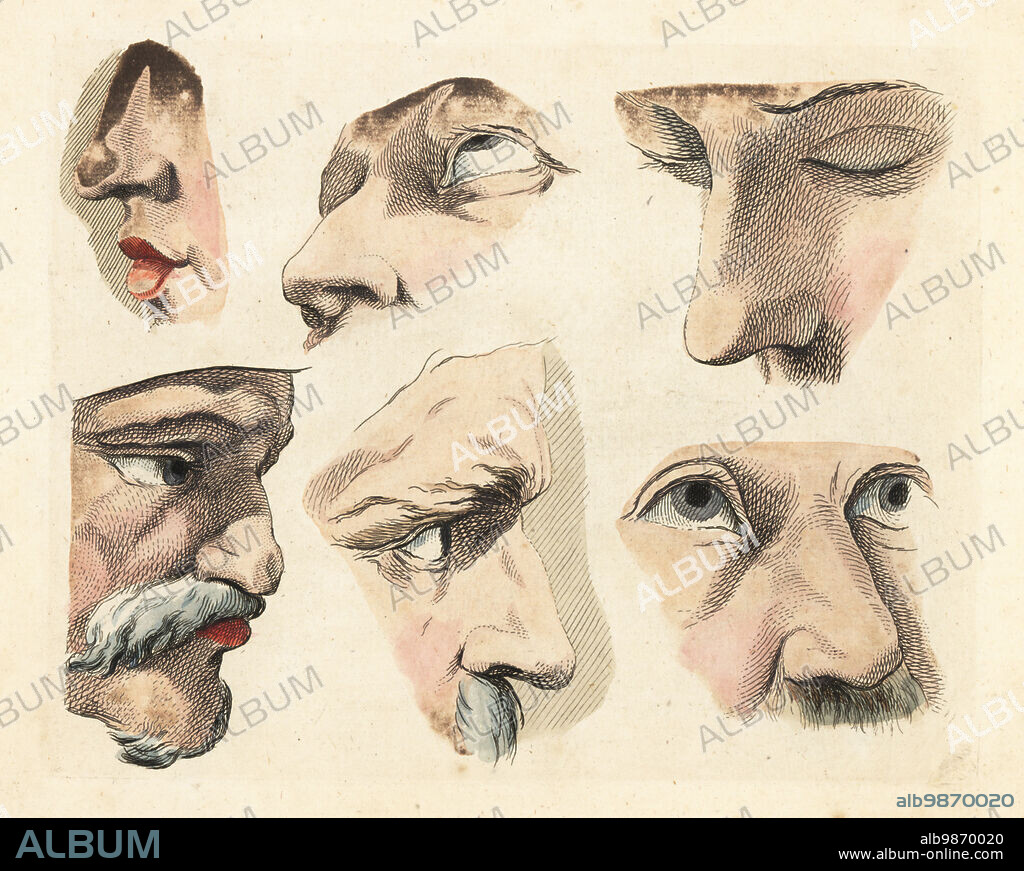 Figures of male eyes, noses, chins, mustaches and brows from paintings by old masters in an 18th century art tutorial book. Handcoloured copperplate engraving from Robert Sayers The Artists Vade Mecum, Being the Whole Art of Drawing, London, 1766.