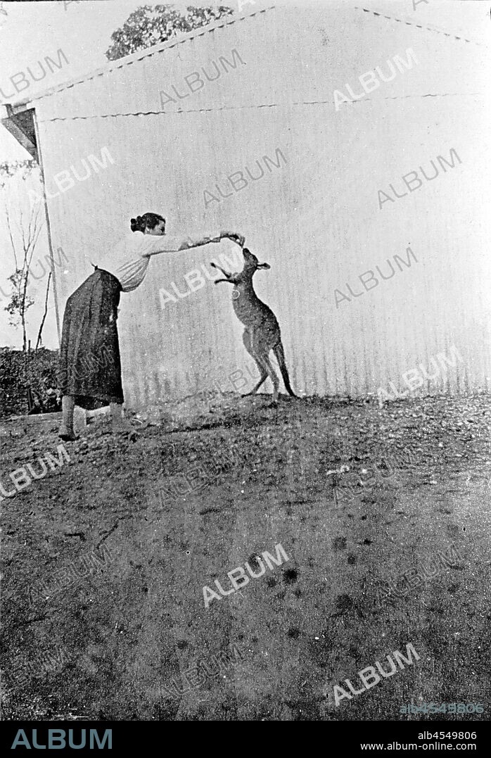 Negative - Annuello, Victoria, 1924, A woman with a pet kangaroo. The joey was hand reared after being thrown from its mother's pouch. It was sent to the Melbourne Zoo in 1926 (when the esson family walked off their property).