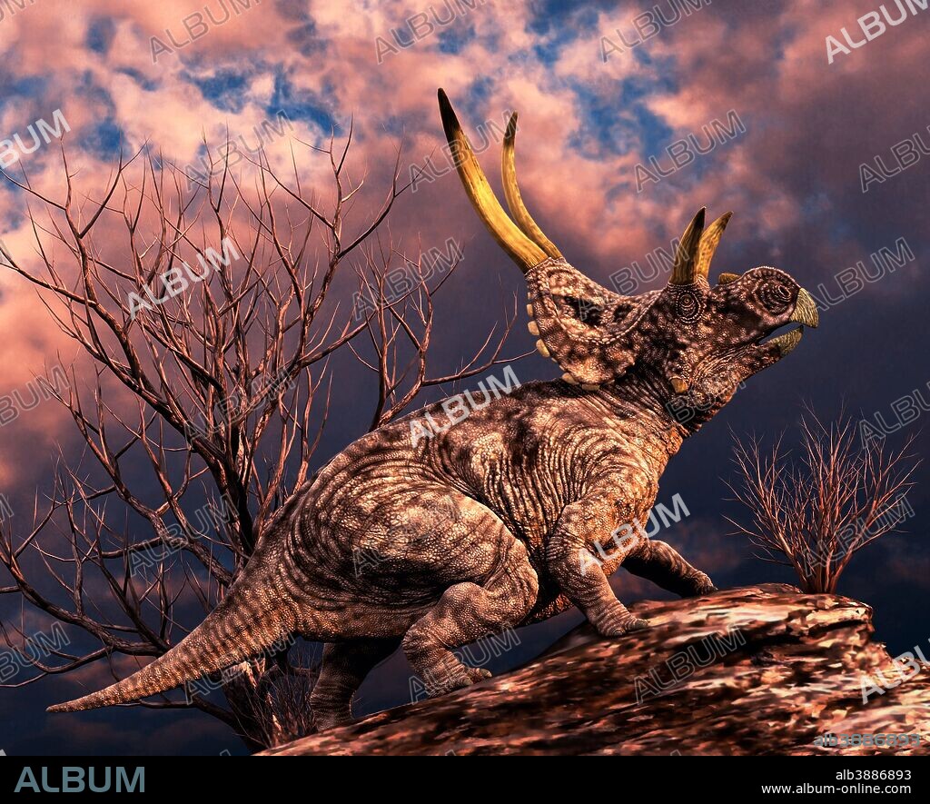 Diabloceratops was a ceratopsian dinosaur that lived approximately 79 million years ago during the latter part of the Cretaceous Period in what is now Utah, United States.