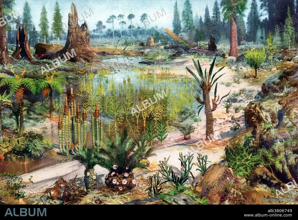 The Mesozoic Era is an interval of geological time from about 252 to 66 million years ago. It is often referred to as the Age of Reptiles because reptiles, namely non-avian dinosaurs, were the dominant terrestrial and marine vertebrates of the time. The Mesozoic( middle life) is one of three geologic eras of the Phanerozoic Eon, preceded by the Paleozoic (ancient life) and succeeded by the Cenozoic (new life). The era is subdivided into three major periods: the Triassic, Jurassic, and Cretaceous, which are further subdivided into a number of epochs and stages.