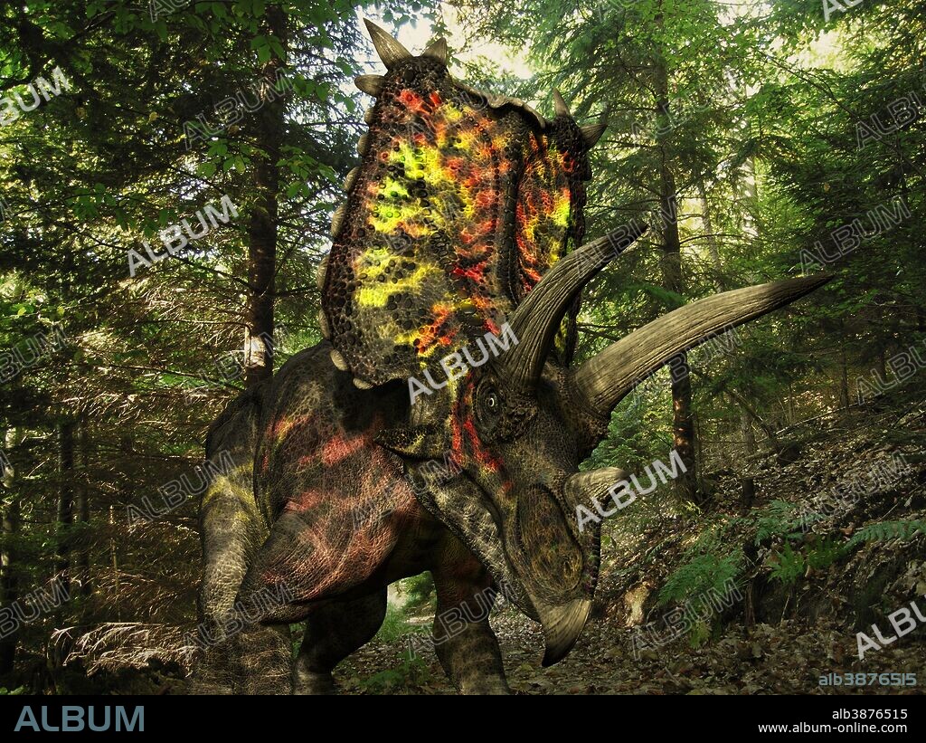 A six ton, 27 foot long Pentaceratops wonders a Cretaceous forest 75 million years ago in what is today the southwestern United States.. . Like the better known Triceratops, Pentaceratops was a Ceratopsid, a large four-legged plant-eating dinosaur characterized by beaks, rows of shearing teeth in the back of the jaw, and elaborate horns and frills. While they resemble defensive shields, the frills are in fact relatively fragile, suggesting that they may have served a purpose other than protecting against a brute force attack. One possibility is that the frills were employed as visual displays in order to intimidate rivals and attract the opposite sex. While no color pigmentation has been preserved in the fossil remains of Ceratopsids, it's not unreasonable to suggest that they may have been very colorful, like many reptiles and birds today.