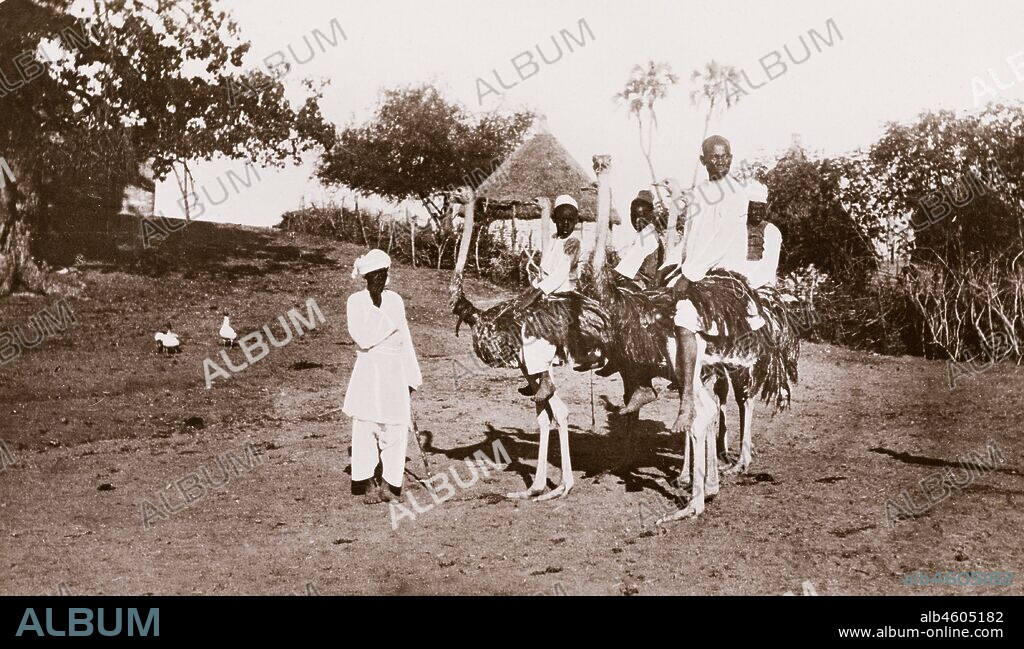 Sudan, Printed caption reads: 'Souvenir of Wad Medani. Published by G N Morhig, The English Pharmacy, Khartoum. Copyright 59', [c.1906]. 2003/222/1/2/34.