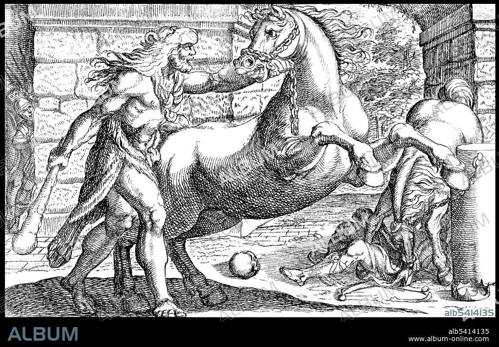 Entitled: Hercules and the Mares of Diomedes: Hercules grasps the bridle of a rearing horse, a second horse tramples a figure in at right. The Twelve Labors of Heracles (Hercules) are a series of episodes concerning a penance carried out by Heracles, the greatest of the Greek heroes, whose name was later Romanized as Hercules. The establishment of a fixed cycle of twelve labours was attributed by the Greeks to an epic poem, now lost, written by Peisander, dated about 600 BC. After Hercules killed his wife and children, he went to the oracle at Delphi, and prayed to the god Apollo for guidance. Hercules was told to serve the king of Mycenae, Eurystheus, for 12 years. During these 12 years, he is sent to perform twelve difficult feats, called labours. If he succeeded, he would be purified of his sin and, as myth says, he would be granted immortality.