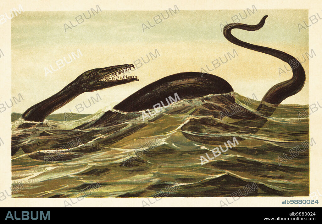 Mosasaurus hoffmannii. Mosasaur, extinct genus of aquatic squamate reptiles, Campanian and Maastrichtian stages of the Late Cretaceous. Mosasaurus Conybeare. Colour printed illustration by F. John from Wilhelm Bolsches Tiere der Urwelt (Animals of the Prehistoric World), Reichardt Cocoa company, Hamburg, 1908.