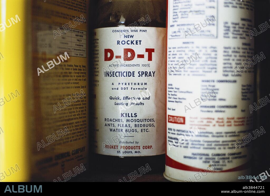 Bottle of the pesticide DDT in a residential garage. DDT was widely used in  the United States until the publication of Rachel Carson's book "Silent  Spring," which linked i - Album alb3844721